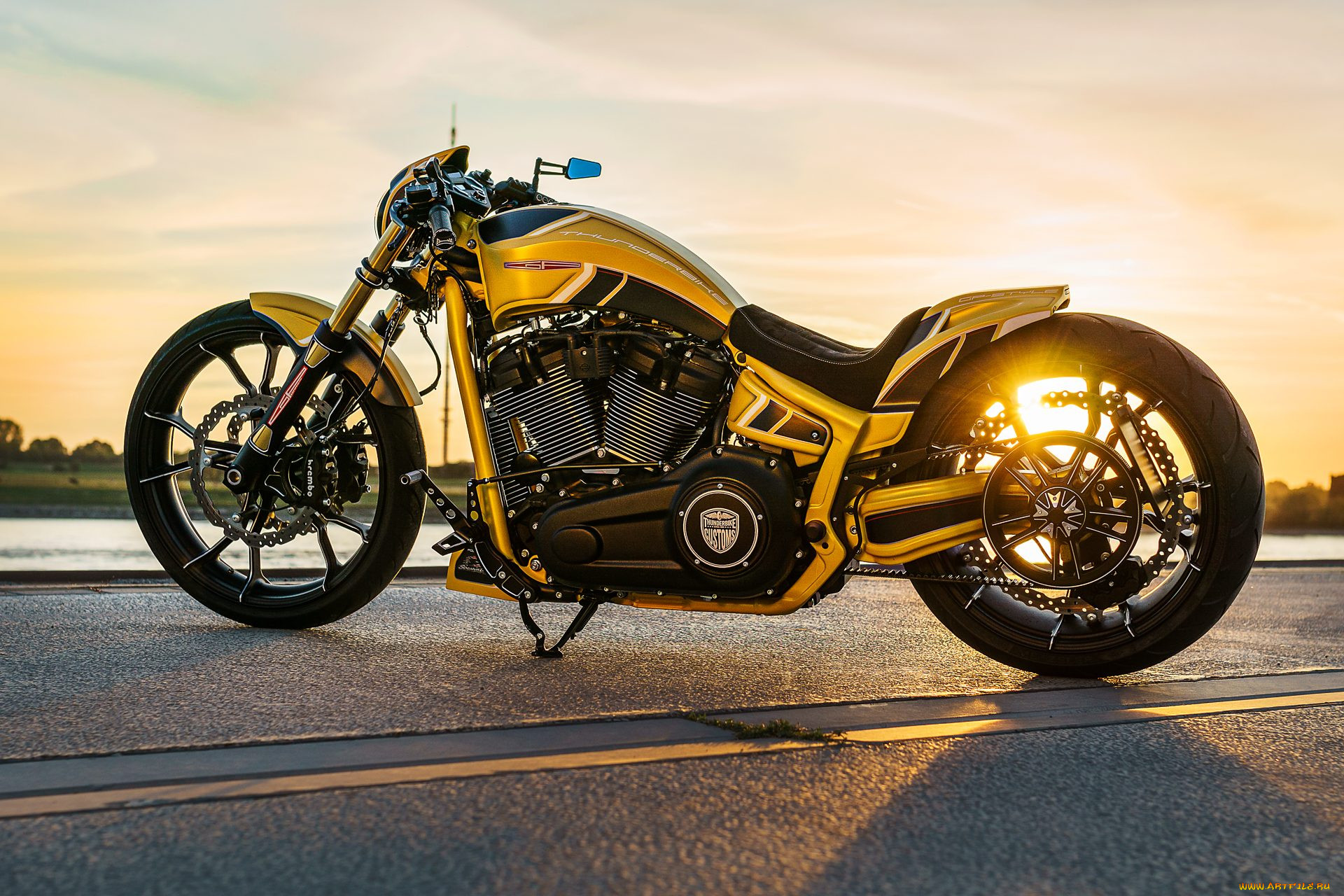 , , harley-davidson, , , thunderbike, customs